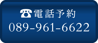 089-961-6622