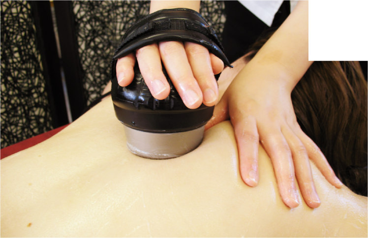 脂肪や老廃物を体外に排出促進