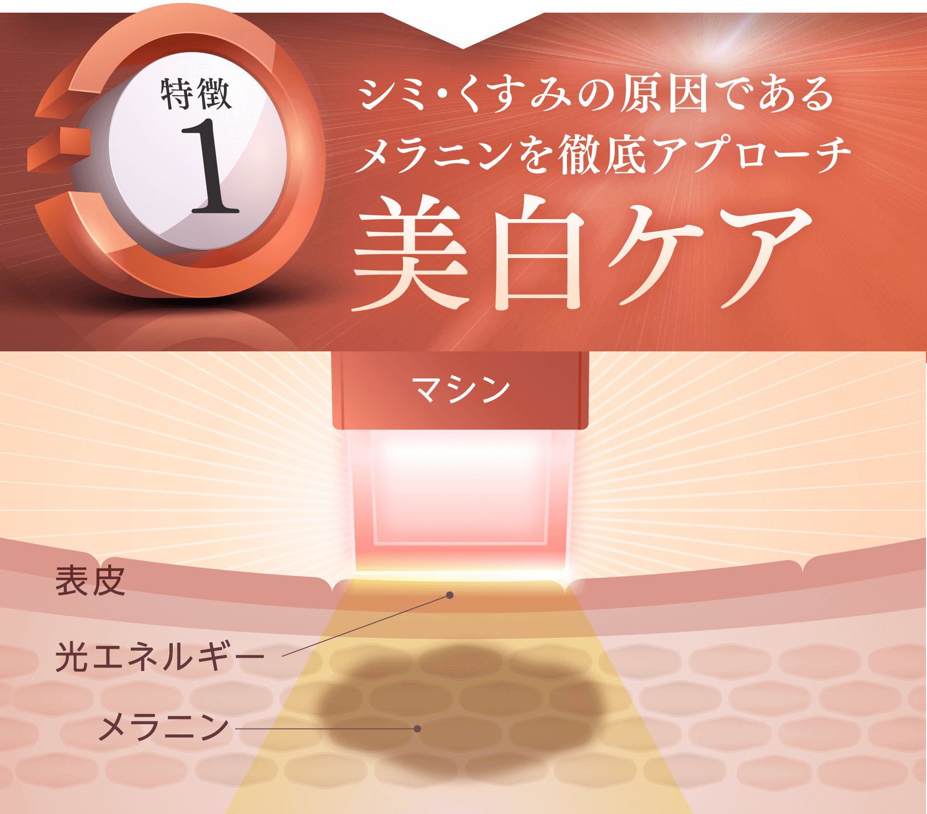 シミ・くすみの原因であるメラニンを徹底アプローチ美白ケア